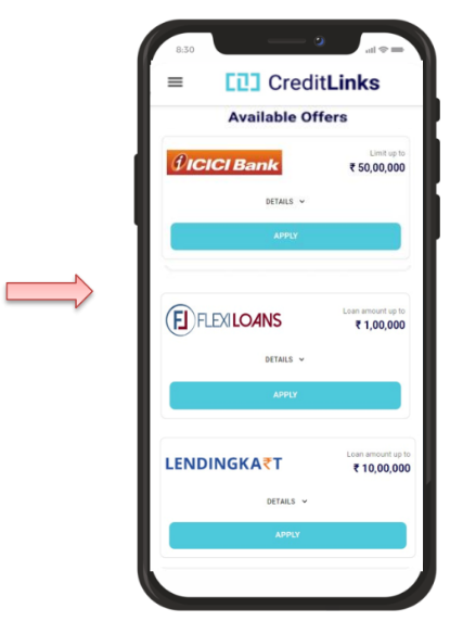 Business Loan Available Option Screen